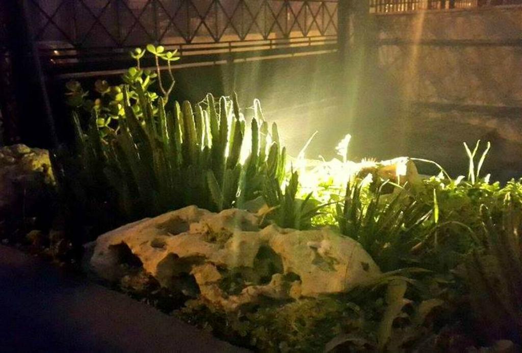 Lo Specchio Del Salento Bed and Breakfast Λέτσε Εξωτερικό φωτογραφία