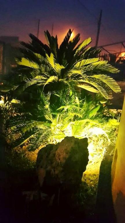 Lo Specchio Del Salento Bed and Breakfast Λέτσε Δωμάτιο φωτογραφία